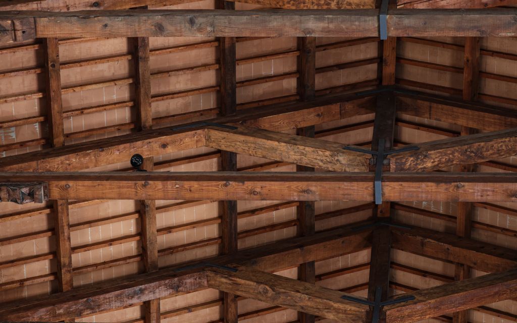 Charpente en bois résineux, cible du capricorne des maisons