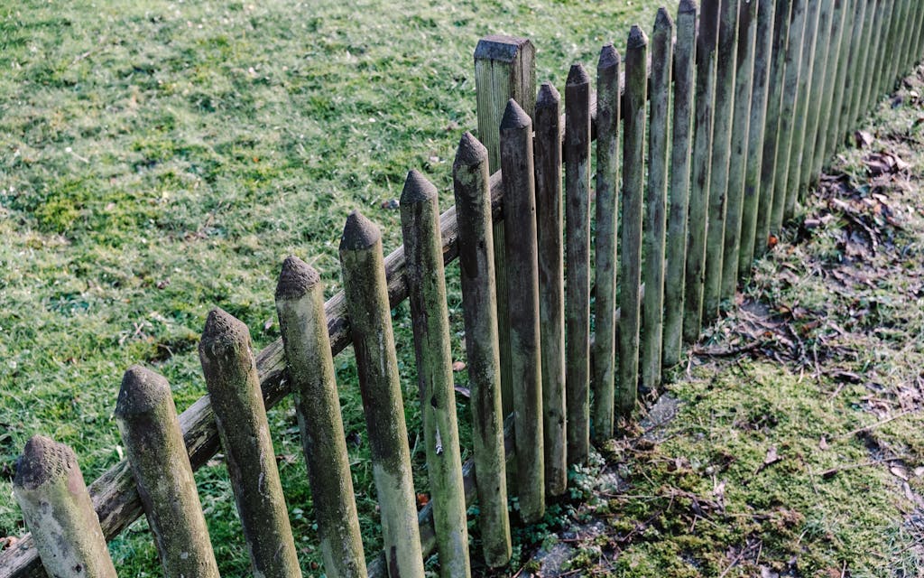 Clôture de ganivelle en piquets de châtaignier fendu