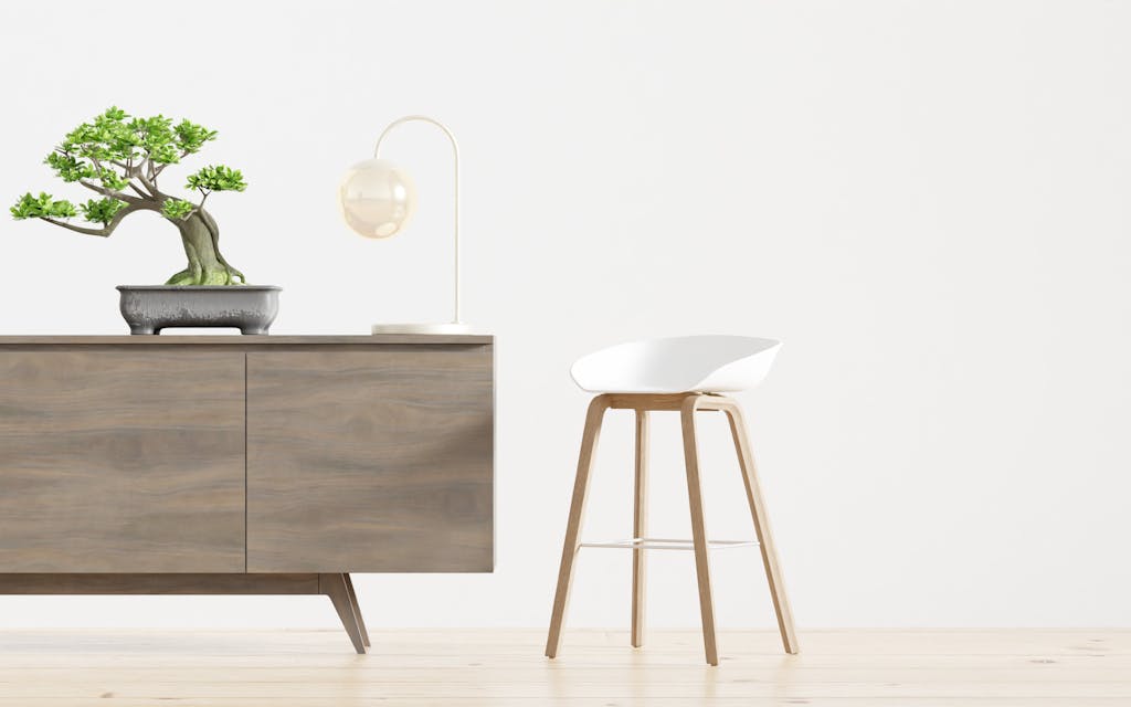 Intérieur minimaliste et zen avec bonsaï et bois clair