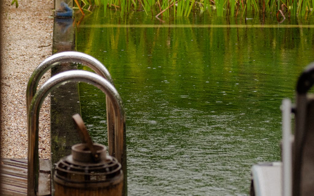 Piscine naturelle avec zone de baignade et lagunage végétalisé