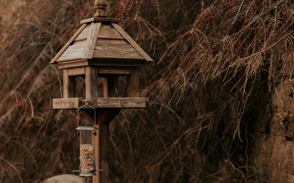 Mangeoire en bois pour oiseaux suspendue à une branche