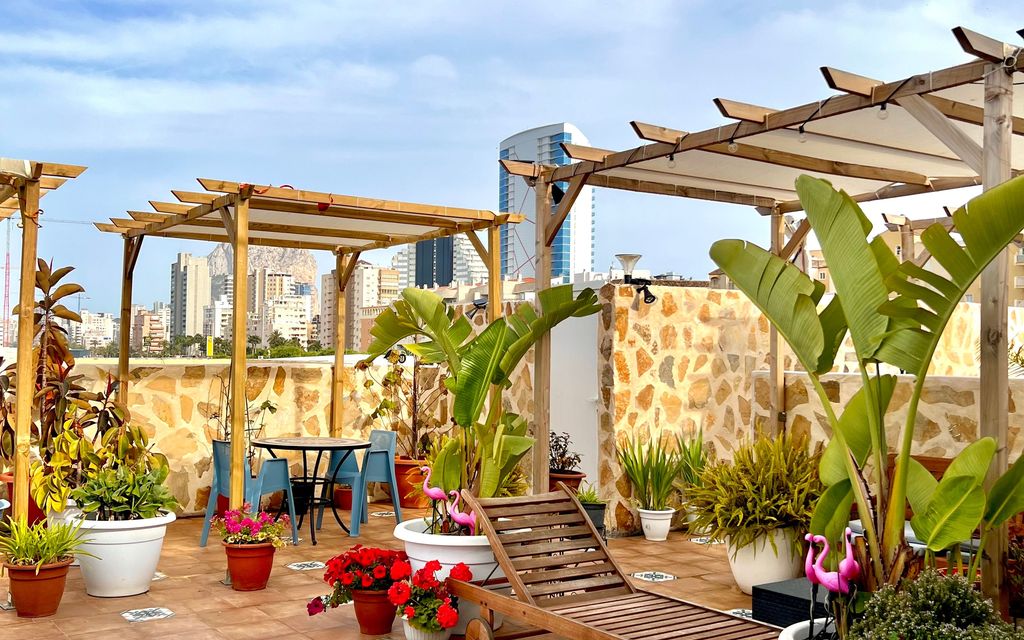 Pergola en bois avec plantes grimpantes dans un jardin