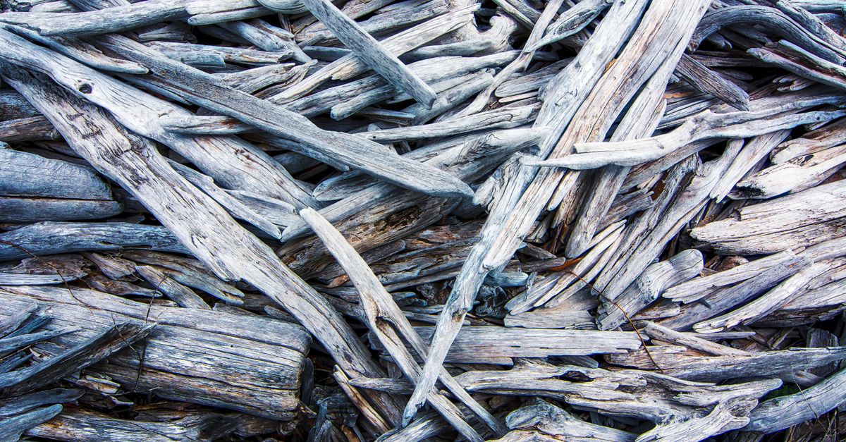 Tas de bois flotté gris argenté